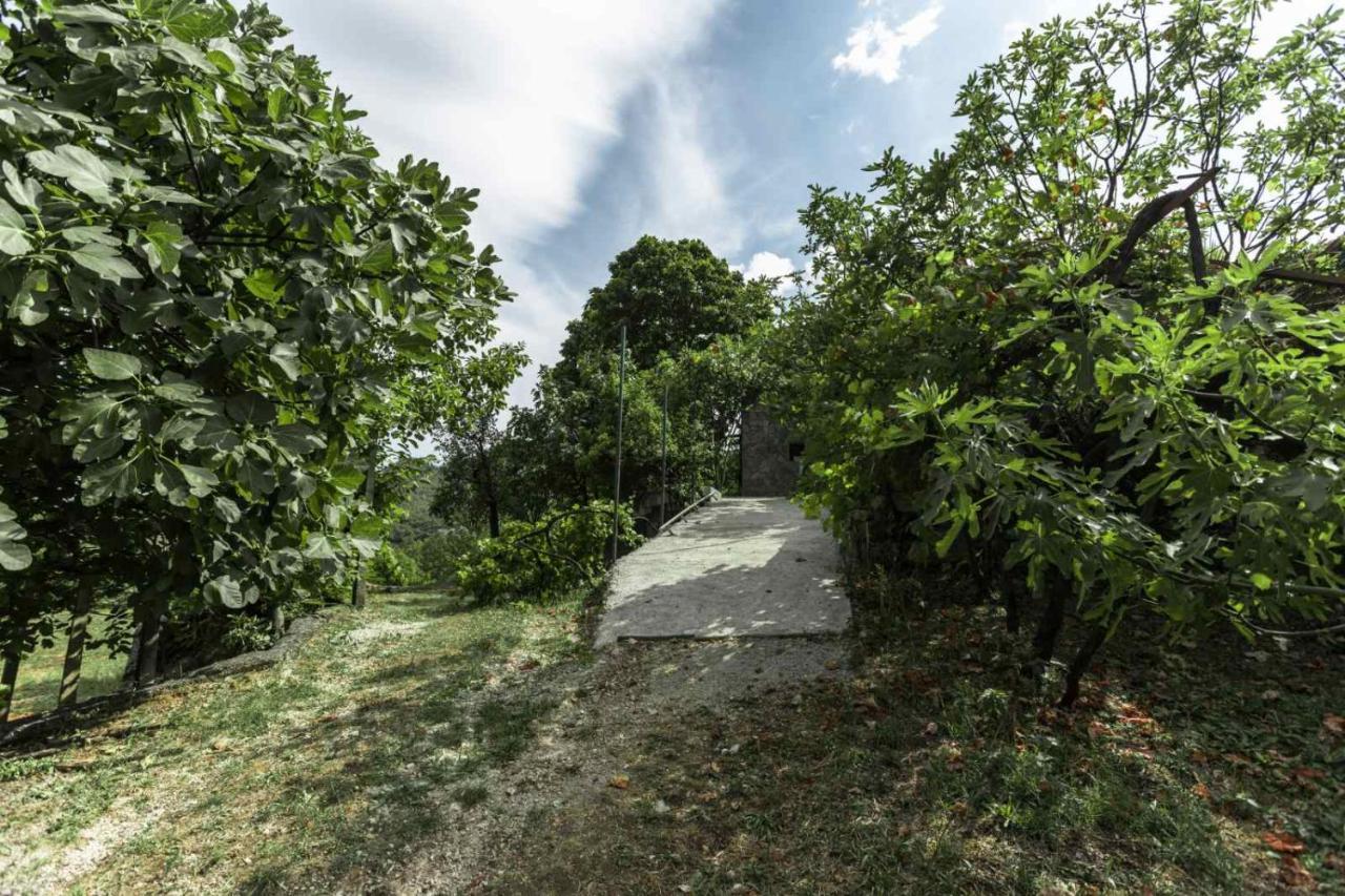 Aria Apartment Cetinje Exterior photo